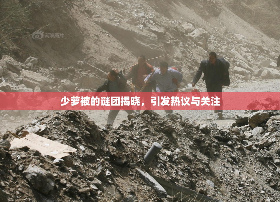 少萝被的谜团揭晓，引发热议与关注