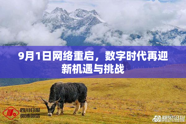 9月1日网络重启，数字时代再迎新机遇与挑战