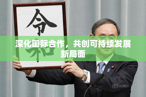 深化国际合作，共创可持续发展新局面