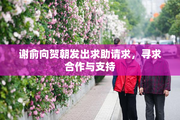 谢俞向贺朝发出求助请求，寻求合作与支持