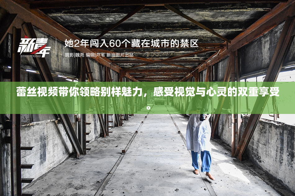 蕾丝视频带你领略别样魅力，感受视觉与心灵的双重享受。