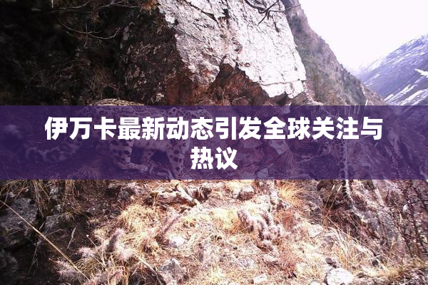 伊万卡最新动态引发全球关注与热议