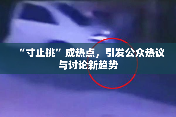 “寸止挑”成热点，引发公众热议与讨论新趋势