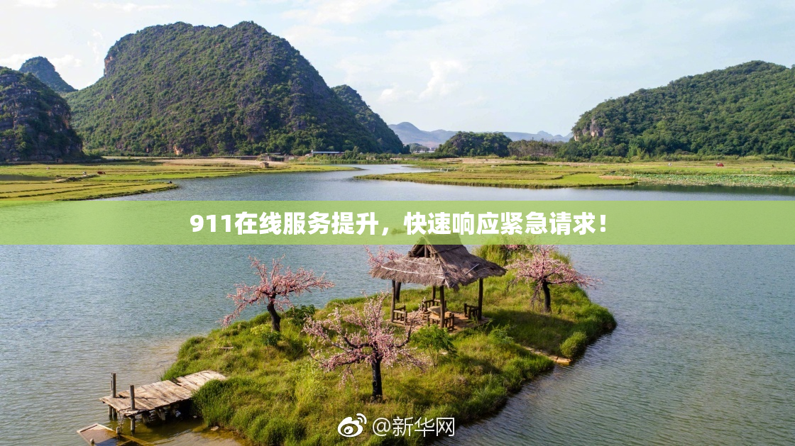 911在线服务提升，快速响应紧急请求！