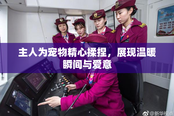 主人为宠物精心揉捏，展现温暖瞬间与爱意