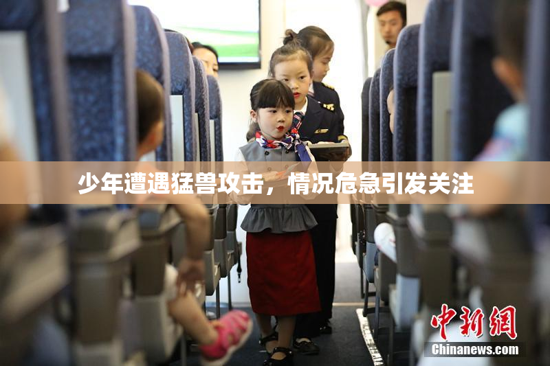 少年遭遇猛兽攻击，情况危急引发关注