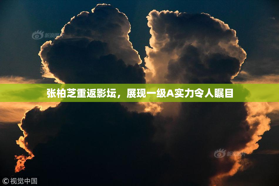 张柏芝重返影坛，展现一级A实力令人瞩目