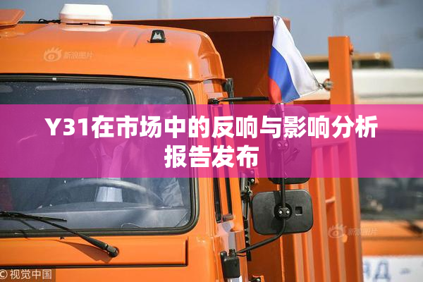 Y31在市场中的反响与影响分析报告发布