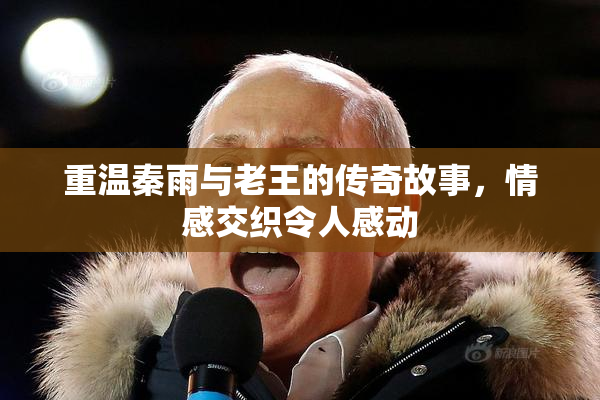 重温秦雨与老王的传奇故事，情感交织令人感动