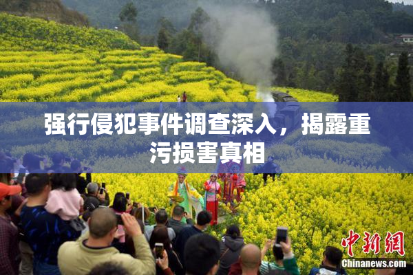 强行侵犯事件调查深入，揭露重污损害真相
