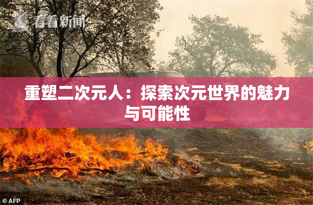 重塑二次元人：探索次元世界的魅力与可能性