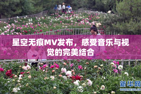 星空无痕MV发布，感受音乐与视觉的完美结合
