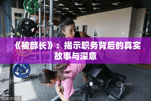 《被部长》：揭示职务背后的真实故事与深意