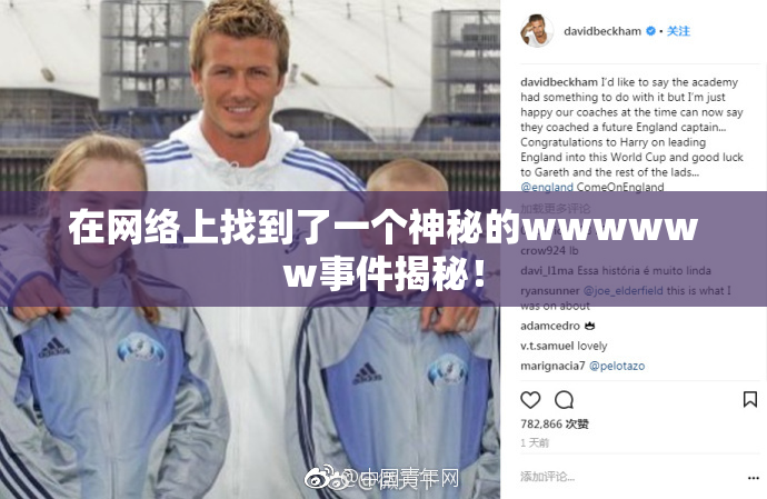 在网络上找到了一个神秘的wwwwww事件揭秘！