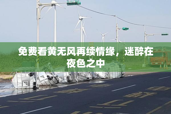 免费看黄无风再续情缘，迷醉在夜色之中