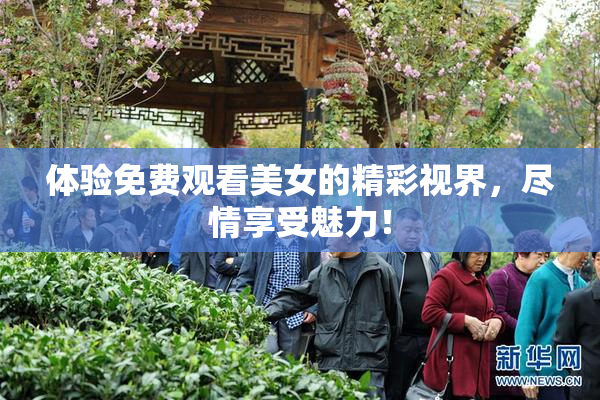 体验免费观看美女的精彩视界，尽情享受魅力！