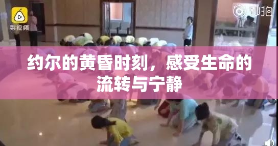 约尔的黄昏时刻，感受生命的流转与宁静