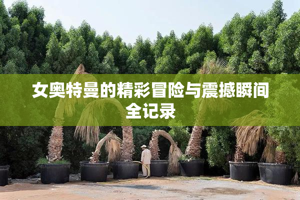 女奥特曼的精彩冒险与震撼瞬间全记录