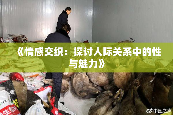 《情感交织：探讨人际关系中的性与魅力》