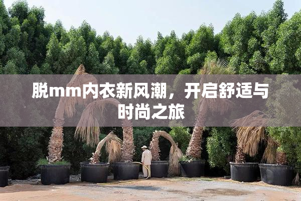 脱mm内衣新风潮，开启舒适与时尚之旅