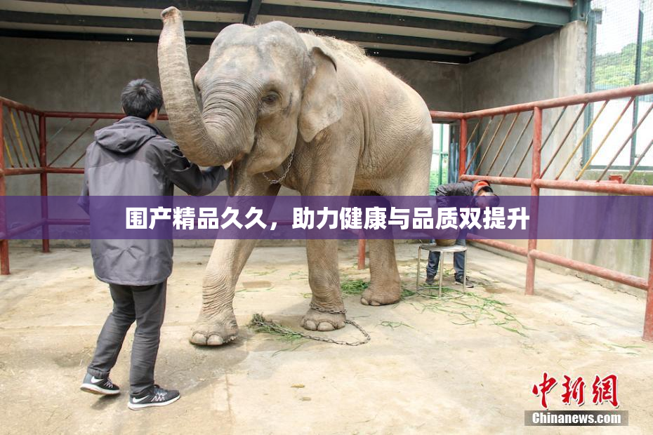 围产精品久久，助力健康与品质双提升