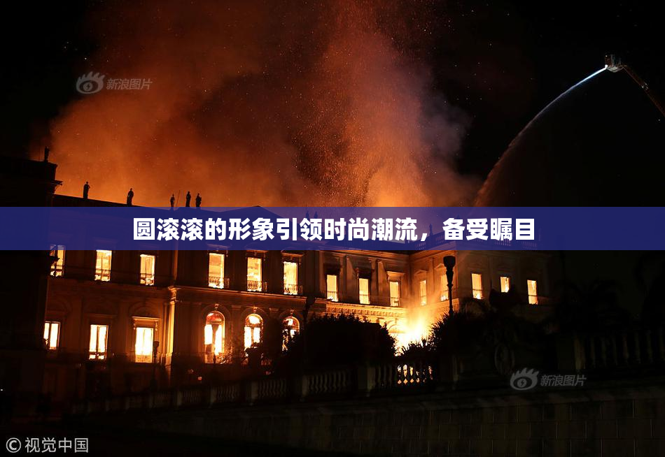 圆滚滚的形象引领时尚潮流，备受瞩目