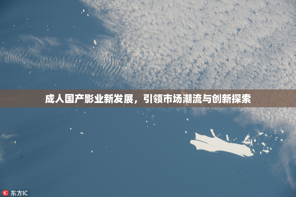 成人国产影业新发展，引领市场潮流与创新探索