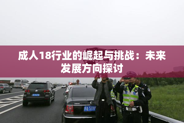 成人18行业的崛起与挑战：未来发展方向探讨