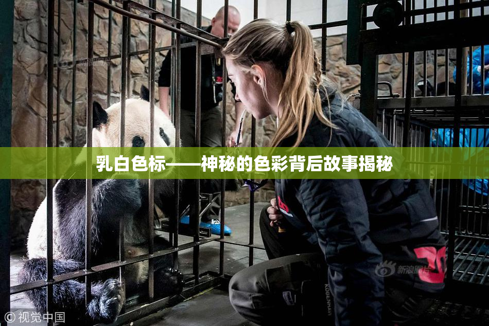 乳白色标——神秘的色彩背后故事揭秘