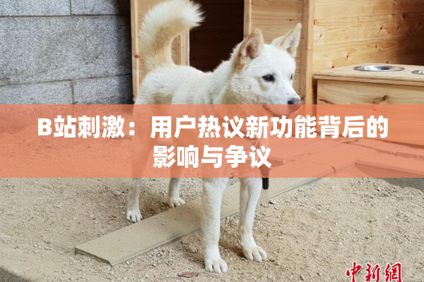 B站刺激：用户热议新功能背后的影响与争议
