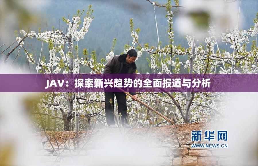 JAV：探索新兴趋势的全面报道与分析
