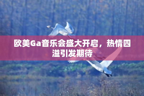 欧美Ga音乐会盛大开启，热情四溢引发期待