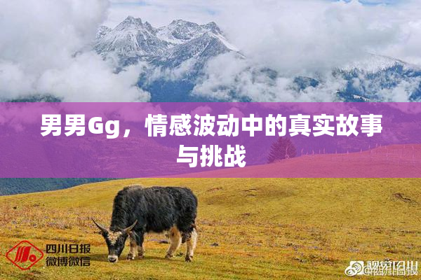 男男Gg，情感波动中的真实故事与挑战