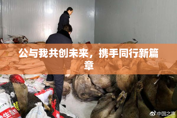 公与我共创未来，携手同行新篇章