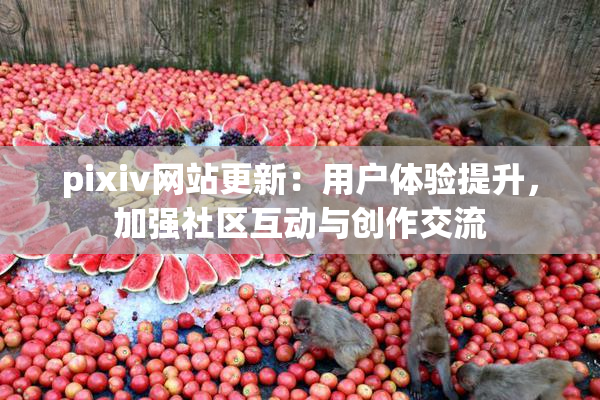 pixiv网站更新：用户体验提升，加强社区互动与创作交流