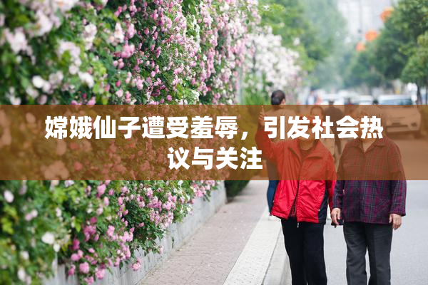 嫦娥仙子遭受羞辱，引发社会热议与关注