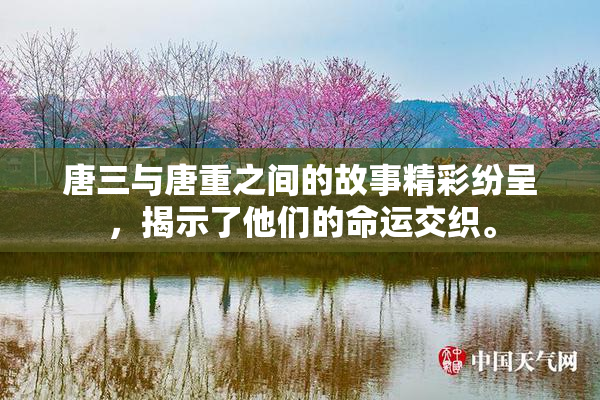 唐三与唐重之间的故事精彩纷呈，揭示了他们的命运交织。