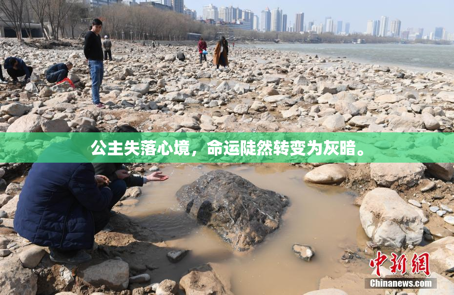 公主失落心境，命运陡然转变为灰暗。