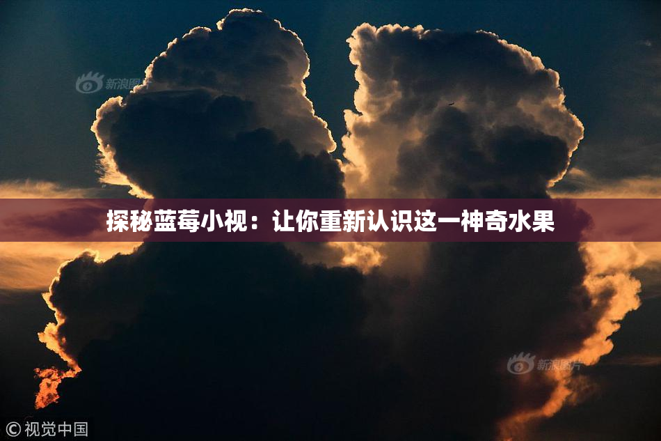 探秘蓝莓小视：让你重新认识这一神奇水果