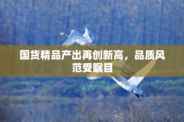 国货精品产出再创新高，品质风范受瞩目