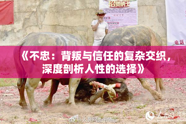 《不忠：背叛与信任的复杂交织，深度剖析人性的选择》
