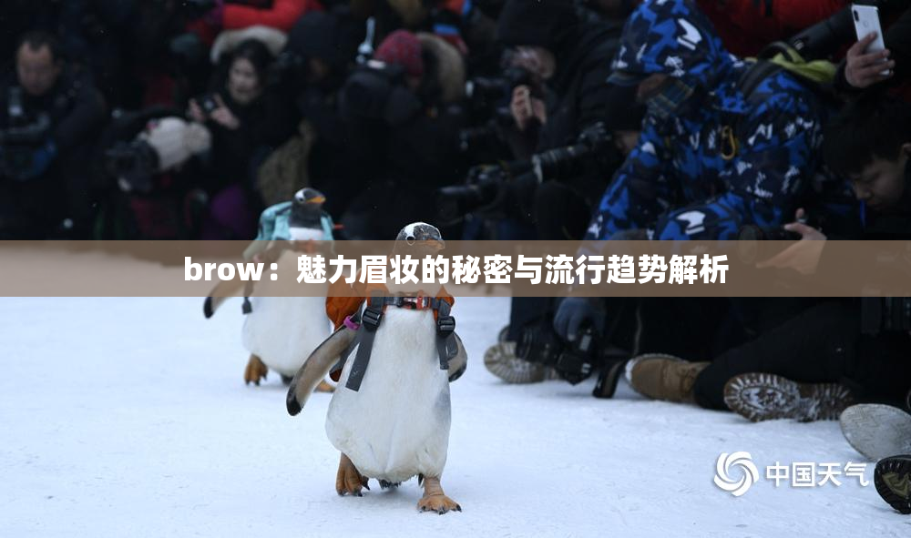brow：魅力眉妆的秘密与流行趋势解析
