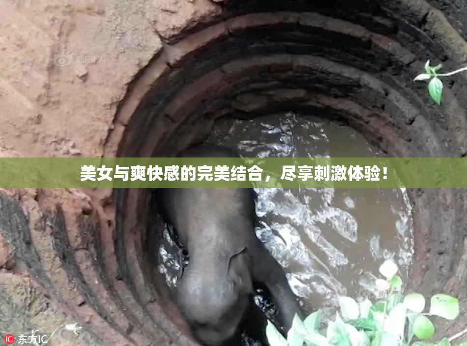美女与爽快感的完美结合，尽享刺激体验！