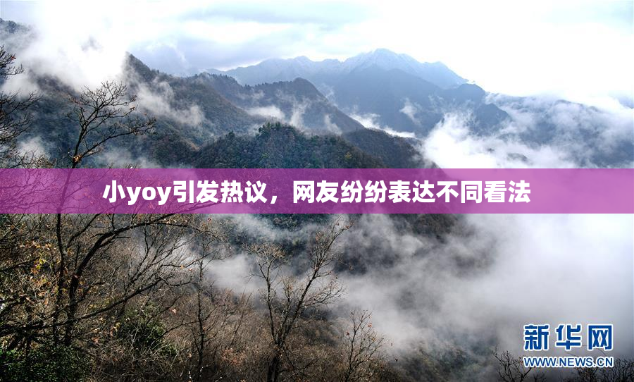 小yoy引发热议，网友纷纷表达不同看法