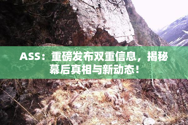 ASS：重磅发布双重信息，揭秘幕后真相与新动态！