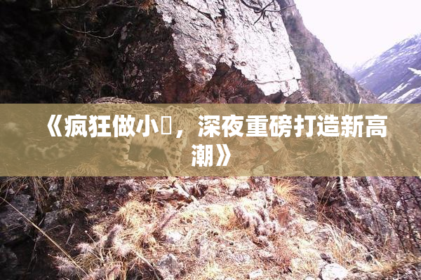 《疯狂做小泬，深夜重磅打造新高潮》