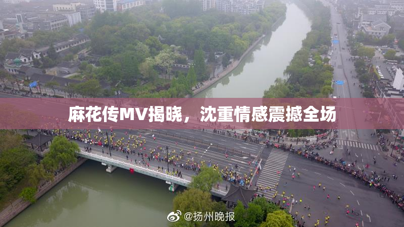 麻花传MV揭晓，沈重情感震撼全场