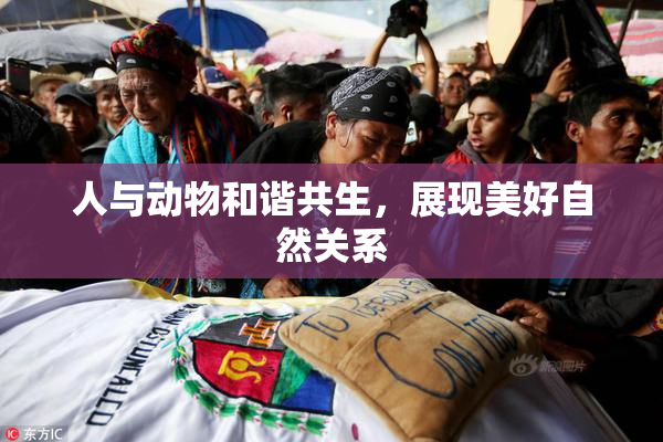 人与动物和谐共生，展现美好自然关系