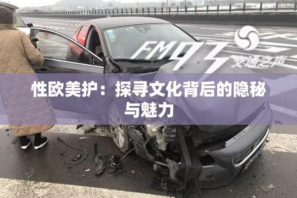 性欧美护：探寻文化背后的隐秘与魅力