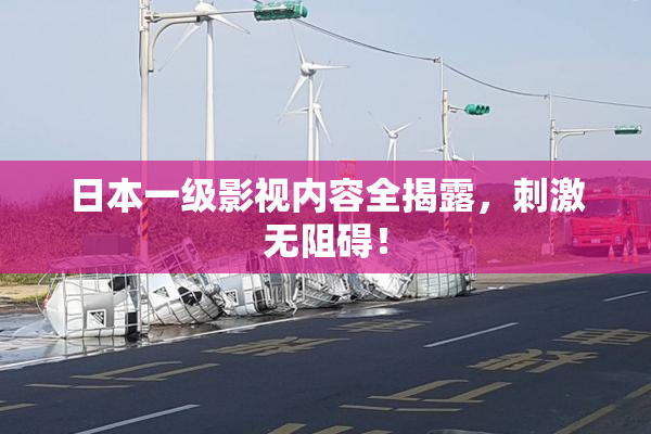 日本一级影视内容全揭露，刺激无阻碍！